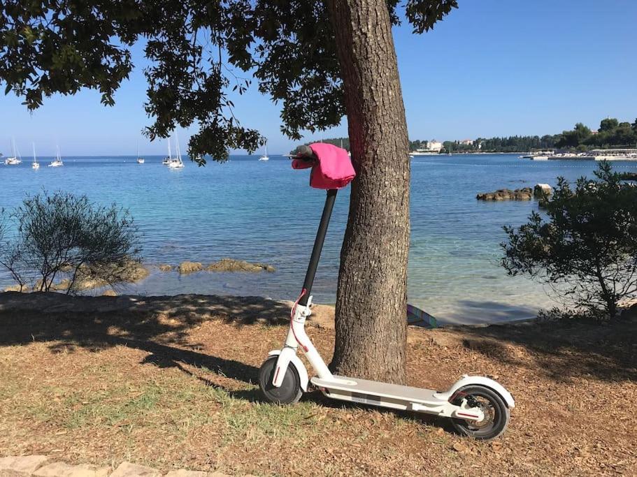 Apartment Capo D'Oro Rovinj Ngoại thất bức ảnh